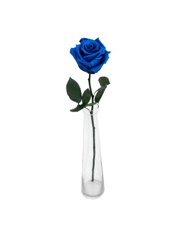 Rosa Con Tallo - Azul